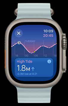 Rising, falling, high and low tides, displayed on the Tides app