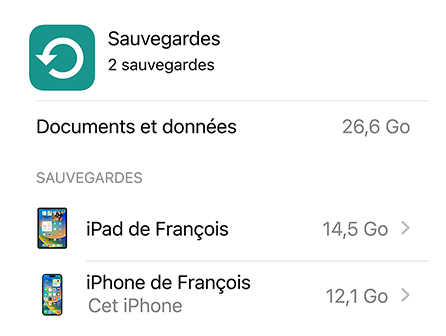 Image montrant l’utilisation des données de la sauvegarde iCloud