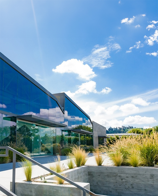 A plant-lined walkway in the foreground, with glass-walled Apple offices in the background.