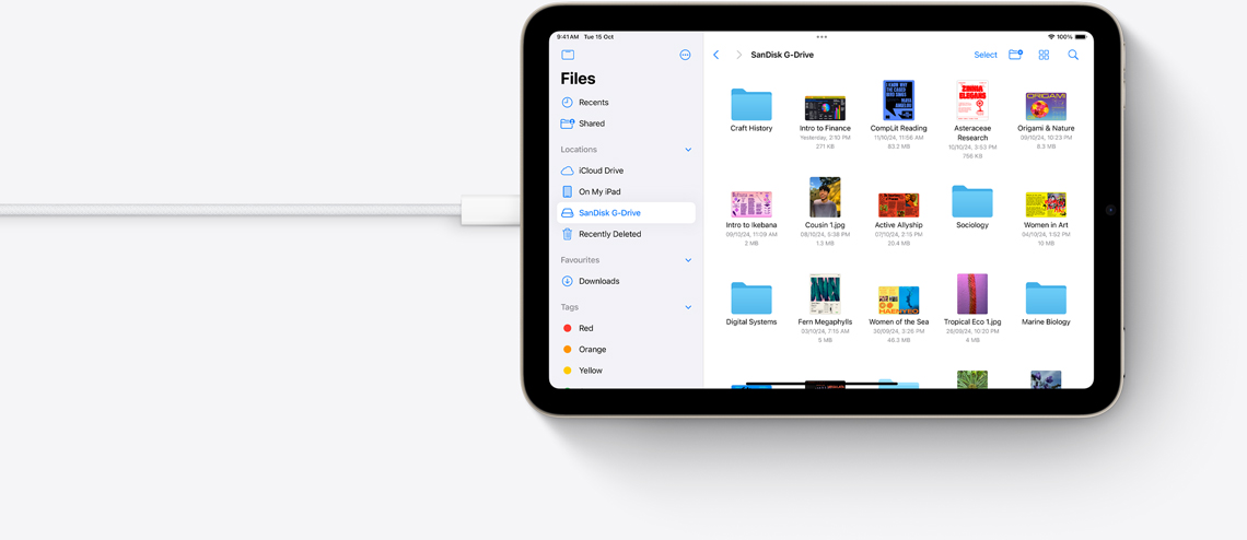 Files on iPad mini in landscape view connected to a USB-C cable.