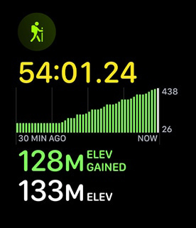 The hikiing workout displaying elevation gain.