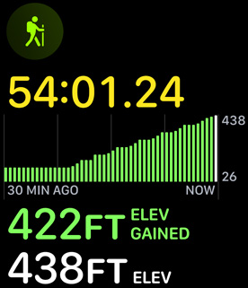 The hiking workout displaying elevation gain.