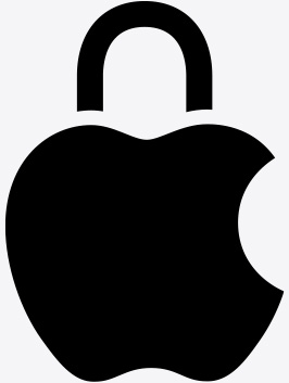 Apple privacy logo.